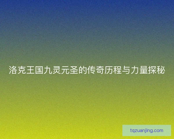 洛克王国九灵元圣的传奇历程与力量探秘