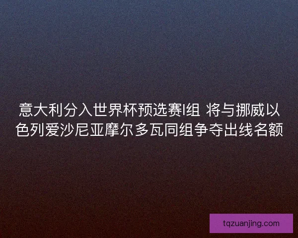 意大利分入世界杯预选赛I组 将与挪威以色列爱沙尼亚摩尔多瓦同组争夺出线名额