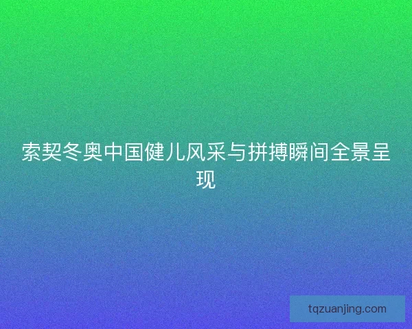 索契冬奥中国健儿风采与拼搏瞬间全景呈现