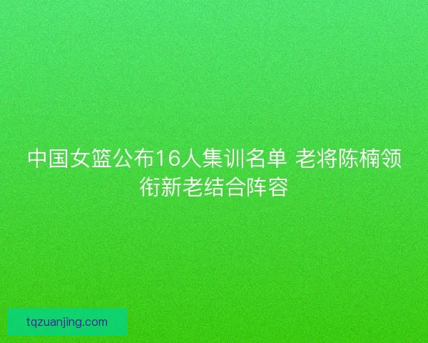 中国女篮公布16人集训名单 老将陈楠领衔新老结合阵容